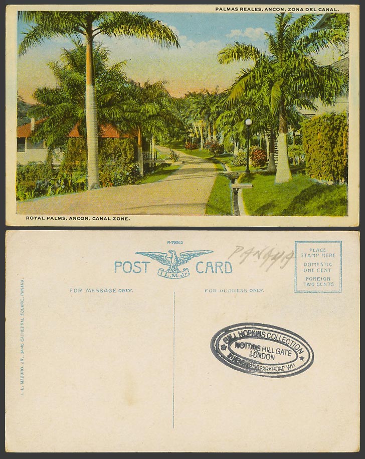 Panama Canal Zone Old Colour Postcard Ancon Royal Palms Palm Trees Palmas Reales