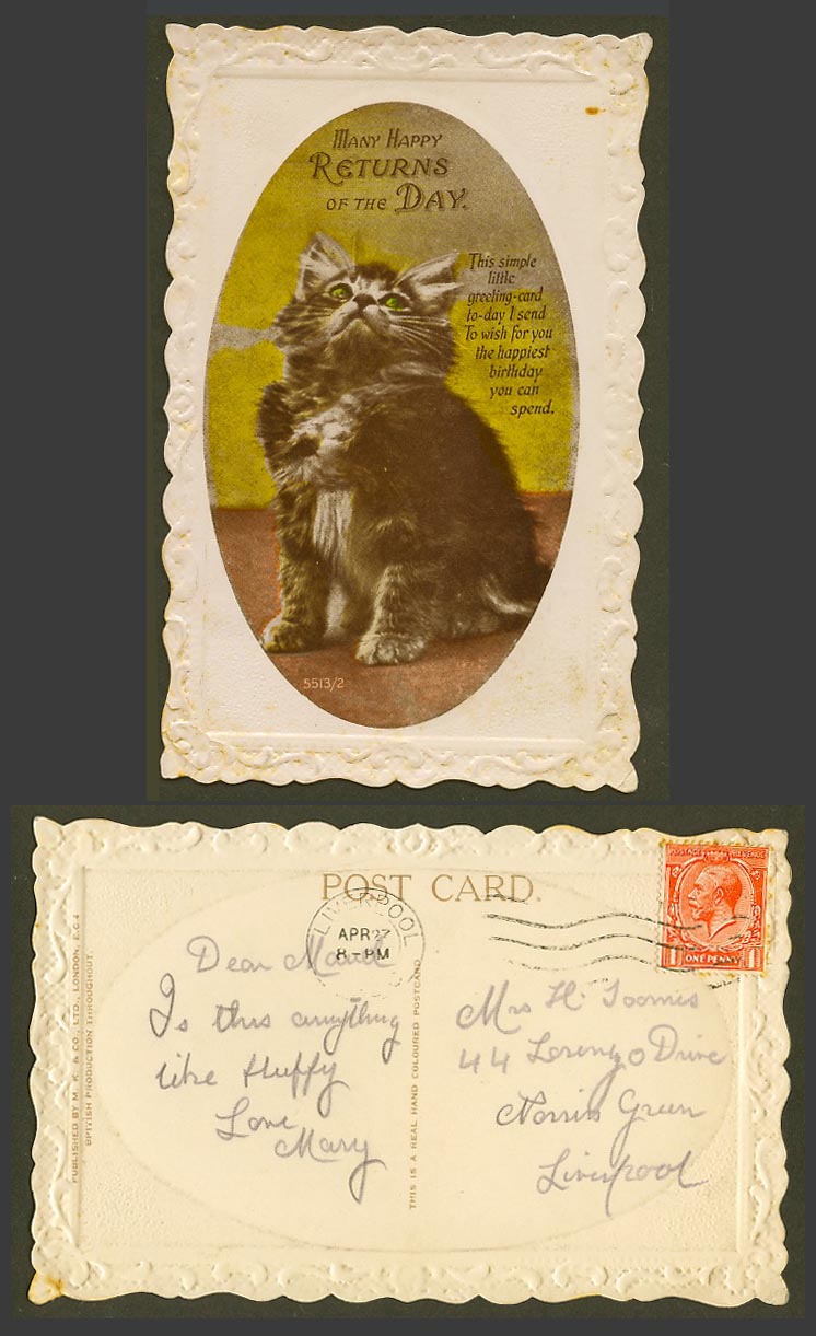 Cat Kitten, Many Returns of The Day Happiest Birthday Wish Old Embossed Postcard
