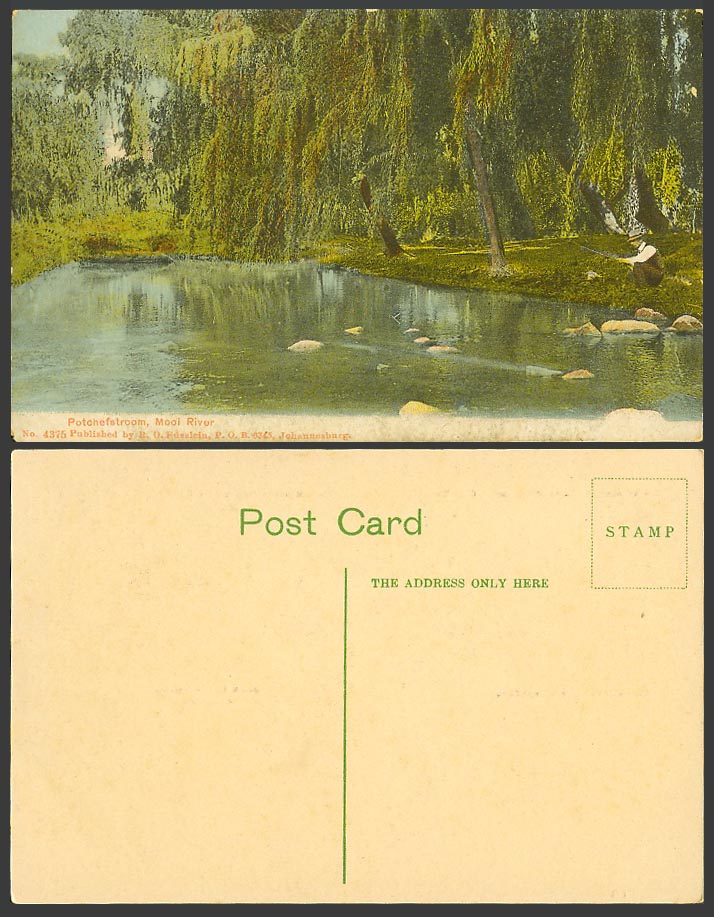 South Africa Old Colour Postcard Potchefstroom Mooi River Fishing by Willow Tree