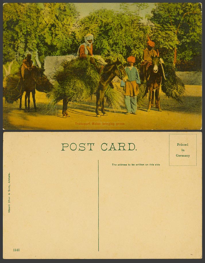 India Old Colour Postcard Transport Mules Bringing Grass Native Mule Riders 1411
