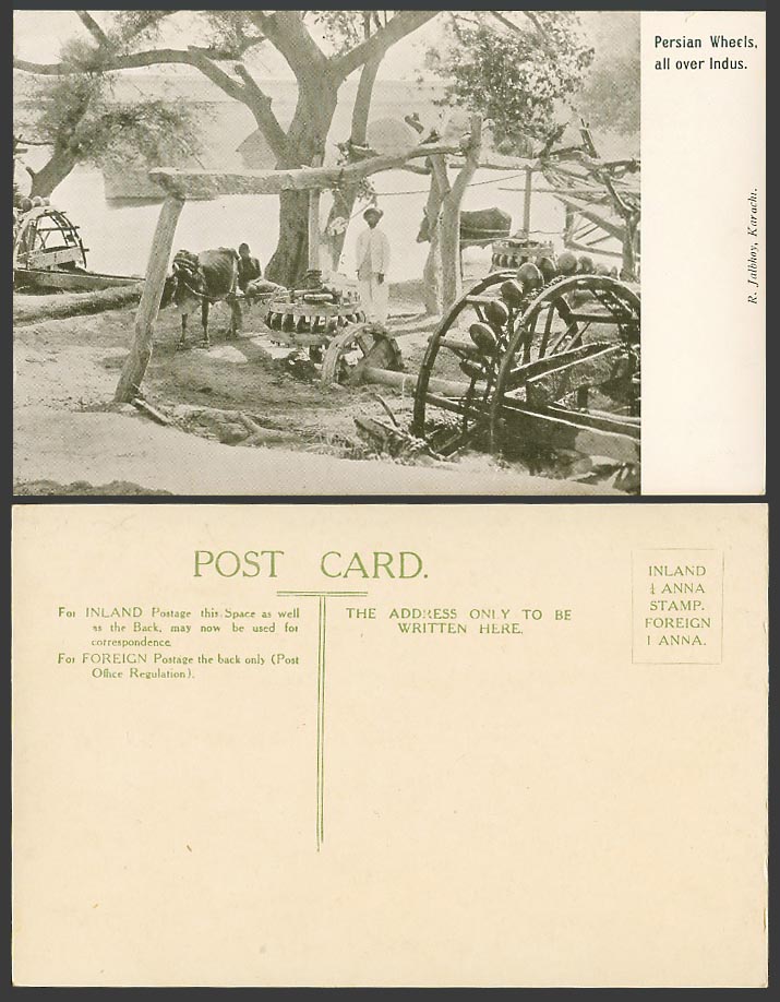 Pakistan Old Postcard Karachi Persian Wheels all over Indus River Cattle at Work