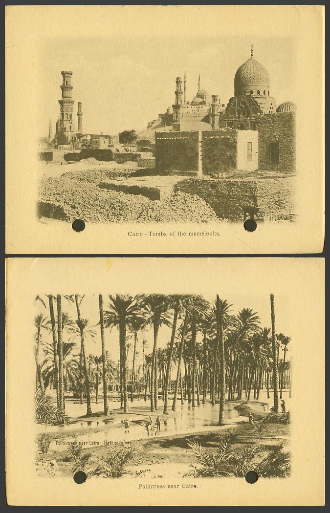 Egypt Old Card Tombs of The Mamelouks, Palm Trees near Cairo Palms Forest Donkey