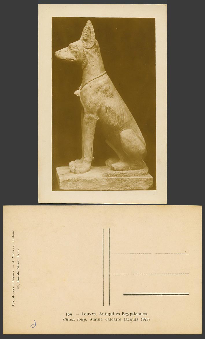 Egypt, Chien Loup Wolf Dog, Limestone Statue 1923 Old Real Photo Postcard Louvre