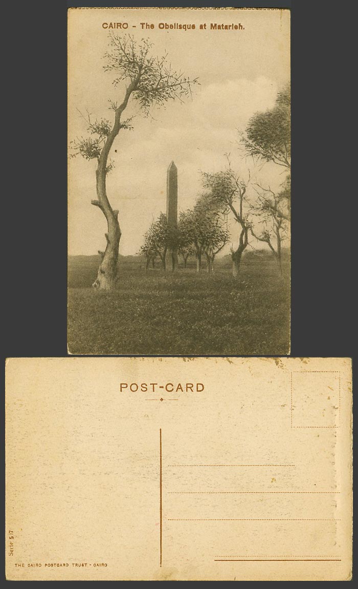Egypt Old Postcard Cairo The Obelisque at Matarieh Obelisk & Trees Le Caire 597.