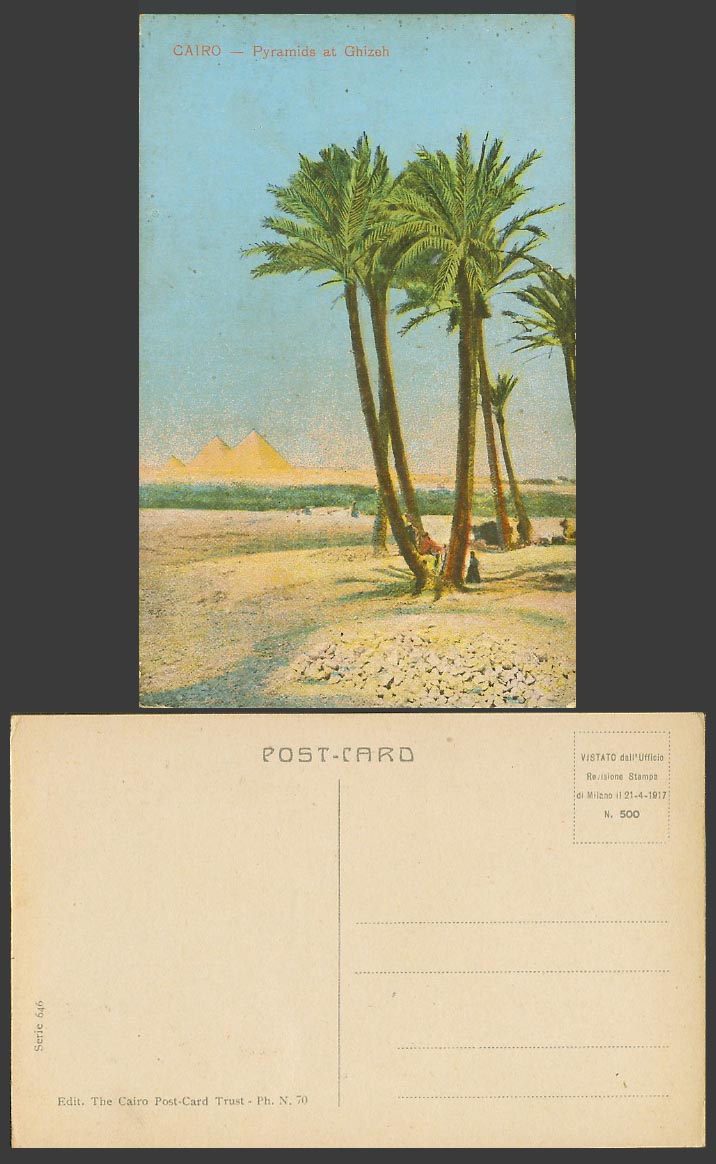 Egypt Old Colour Postcard Cairo Pyramids at Ghizeh Giza Palm Trees Caire No. 646