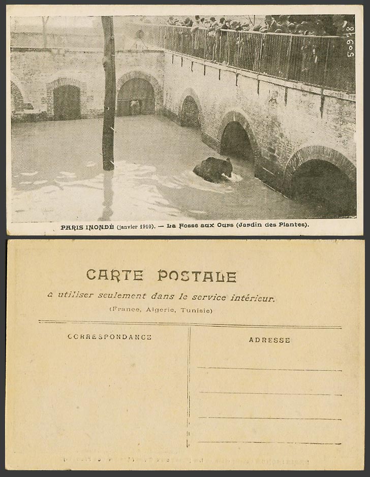 PARIS FLOOD 1910 Old Postcard Bear Pit, Flooded Botanical Garden, Fosse aux Ours