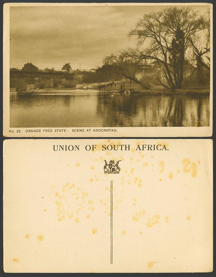 Orange Free State Scene at KROONSTAD View Bridge Horse South Africa Old Postcard
