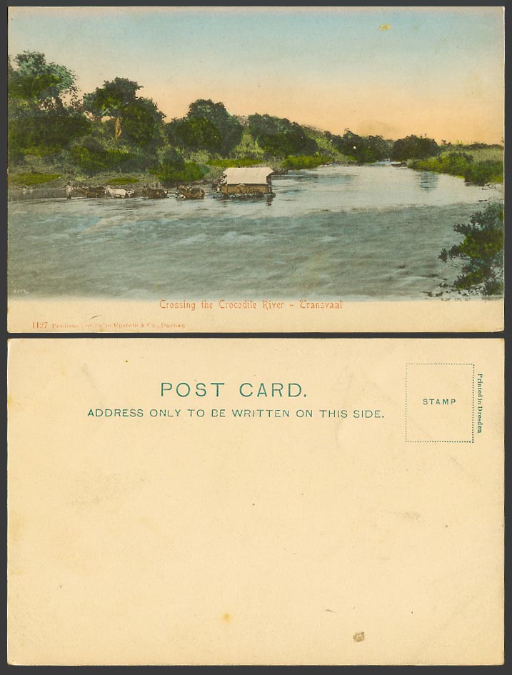 South Africa Old Colour Postcard Horses Cart Crossing Crocodile River, Transvaal
