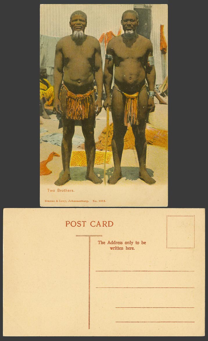 South Africa Old Colour Postcard Two Brothers, Native Zulu Black Men Ethnic Life