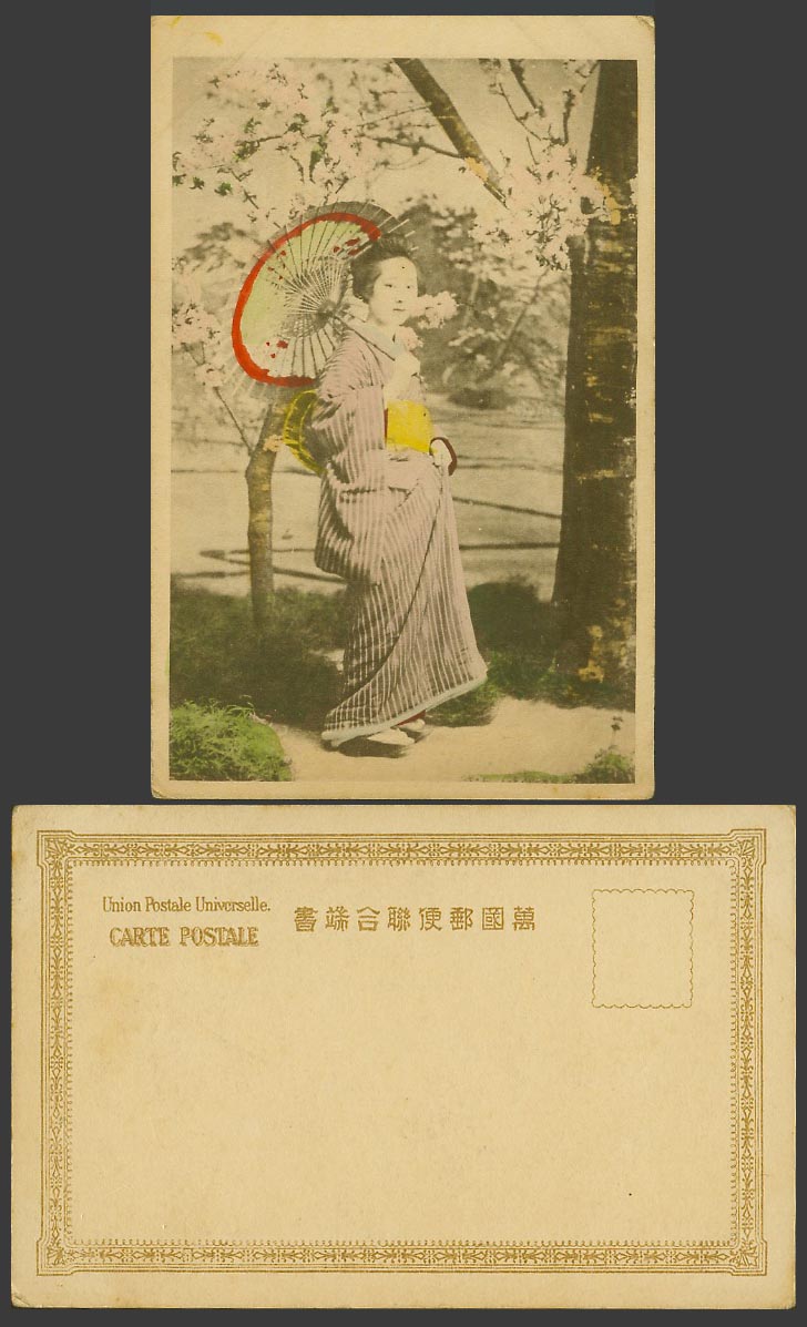 Japan Old Hand Tinted Postcard Geisha Girl Woman Lady, Umbrella, Cherry Blossoms