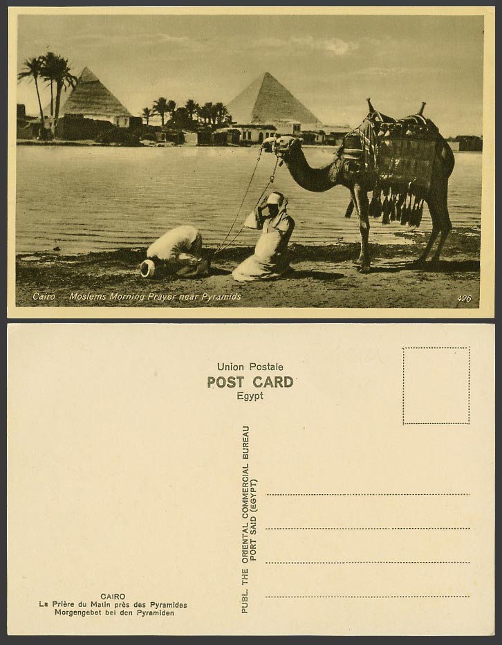 Egypt Old Postcard Cairo Muslim Moslems Morning Prayer near Pyramids Camel Palms