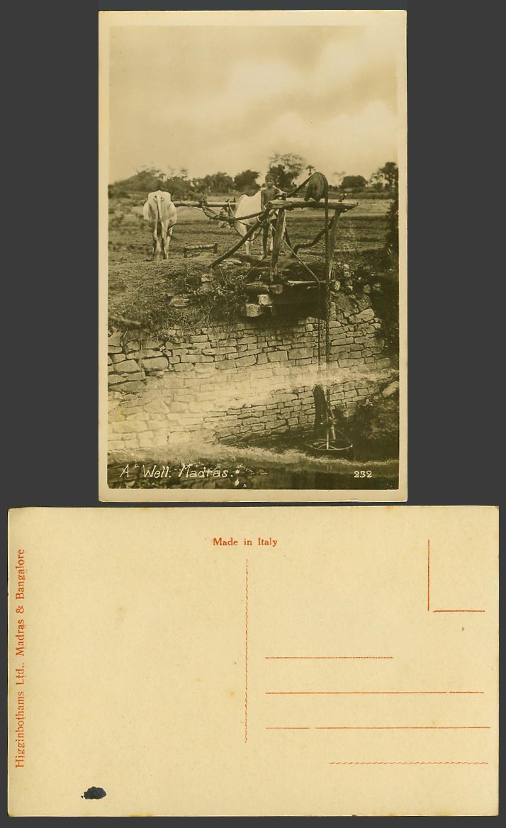 India Old Real Photo Postcard Madras A Well Cattle Drawing Water, Little Boy 232