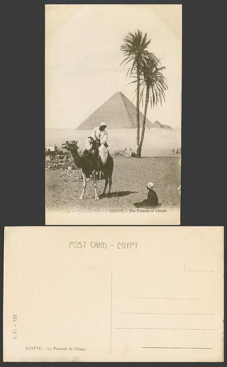 Egypt Old Postcard Pyramid of Cheops Camel Rider Palm Tree La Pyramide de Cheops