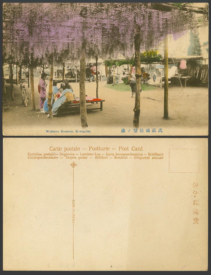 Japan Old Hand Tinted Postcard Wisteria Blossom, Kasugabe, Geisha Girls 武藏國粕壁 紫藤