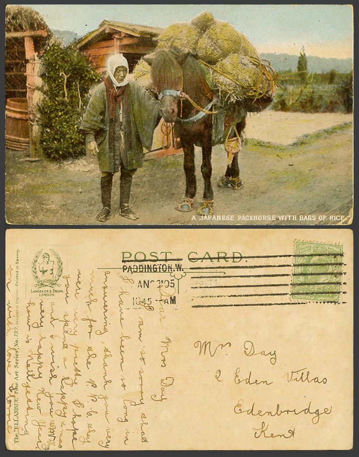 Japan 1905 Old Colour Postcard A Japanese Packhorse with Bags of Rice Pack Horse