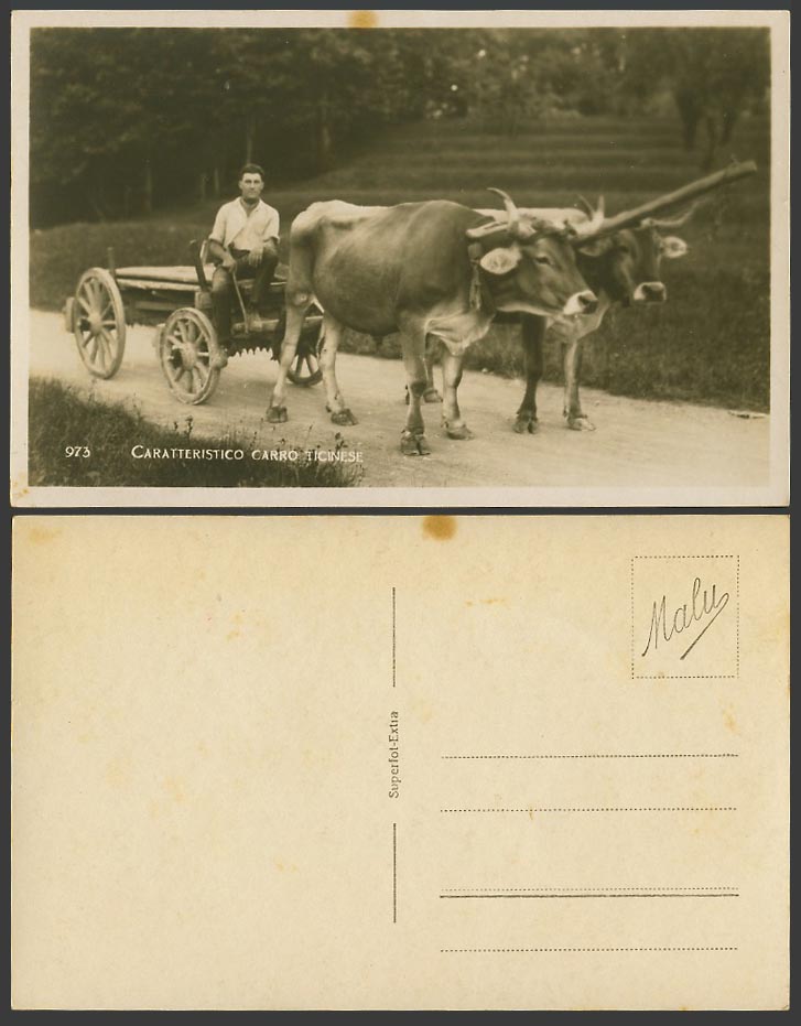 Italy Old Real Photo Postcard Caratteristico Carro Ticinese, Cattle Cart, Milan