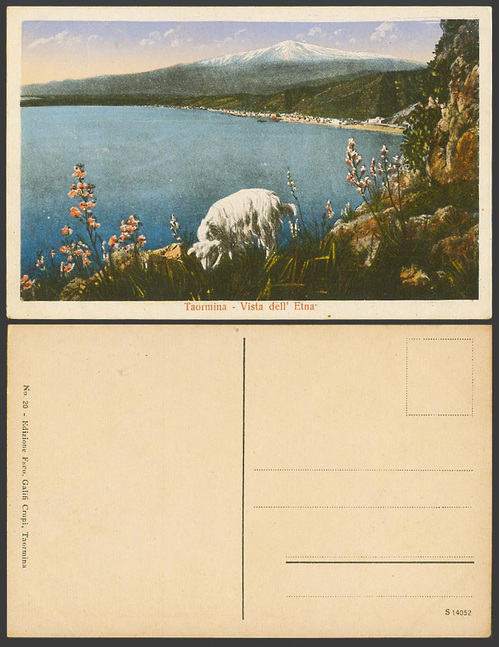 Italy Sicily Old Colour Postcard SHEEP, Vista dell' Etna Taormina Snowy Mountain