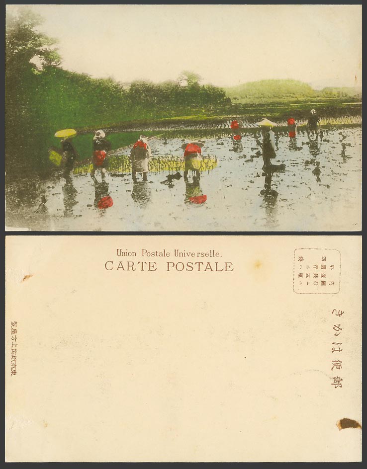 Japan Old Hand Tinted UB Postcard Farmers Planting Rice Sprouts in Paddy Fields