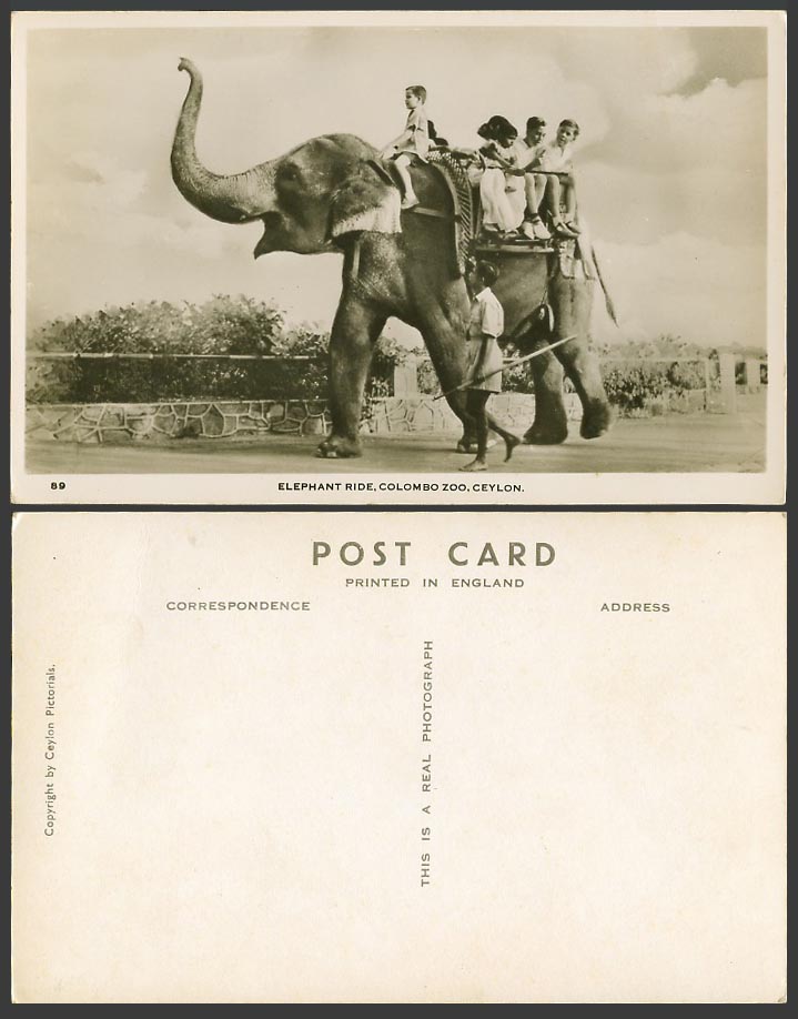 Ceylon Old Real Photo Postcard Elephant Ride Colombo Zoo, Children Boys, Trainer