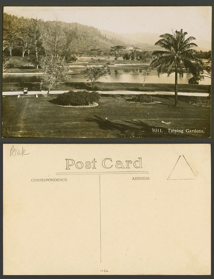 Singapore Old Real Photo Postcard Taiping Gardens, Lake, Palm Tree Panorama 9311