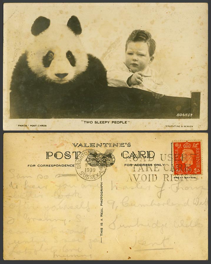 GIANT PANDA 2 Sleepy People Child Baby Boy Girl Chinese Animal 1939 Old Postcard