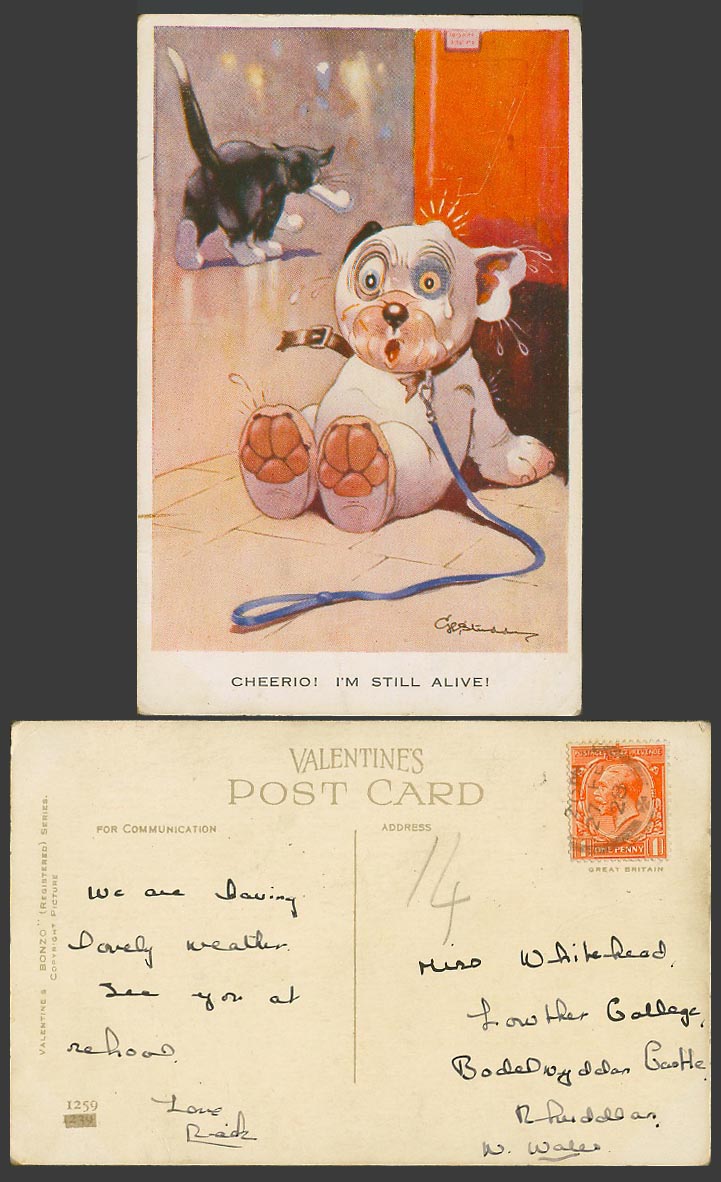 BONZO Dog GE Studdy 1928 Old Postcard Cheerio! I'm Still Alive! Cat Kitten 1259