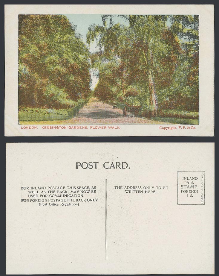 London Old Colour Postcard, Kensington Gardens, Flower Walk, Trees, F. F. & Co.