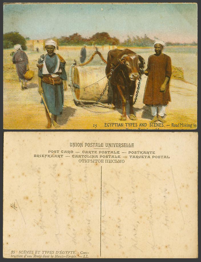Egyptian Old Postcard Buffalo Cattle Rd ROLLER Road Making in Upper Egypt L.L.25