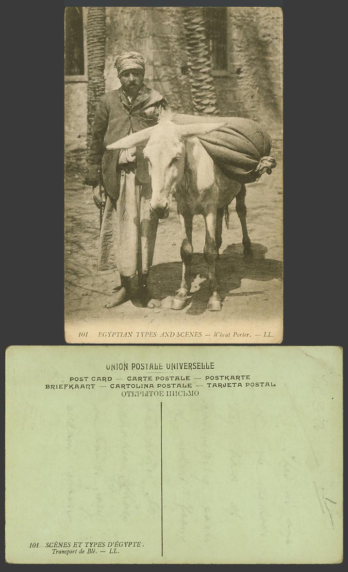 Egypt Old Postcard Wheat Porter, Transport de Ble Native Man and Donkey L.L. 101
