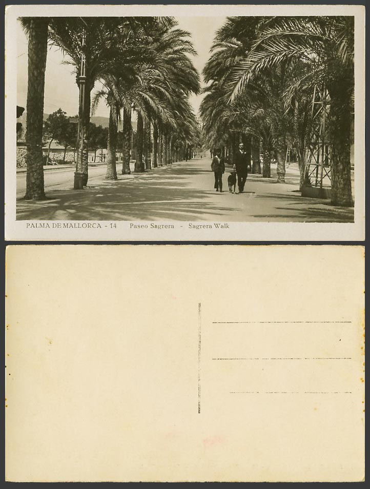 Spain Old RP Postcard Palma de Mallorca Paseo de Sagrera Walk, Palm Trees Avenue