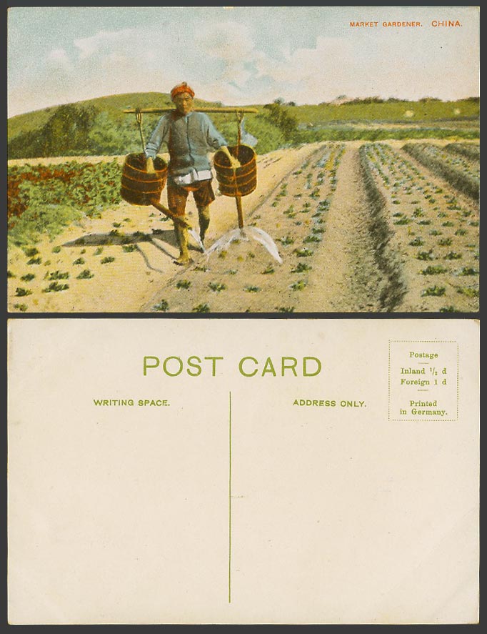 China Old Colour Postcard A Chinese Market Gardener Farmer Watering Paddy Fields