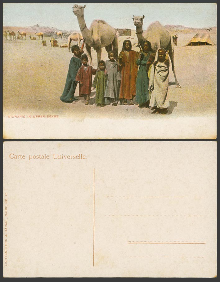Egypte Old Postcard Sicharis in Upper Egypt, Camels Native Children Boys & Girls