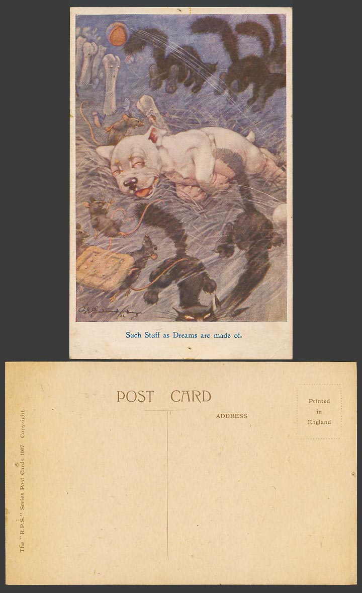 BONZO DOG GE Studdy Old Postcard Such Stuff as Dreams are Made Of Cats Ball 1007