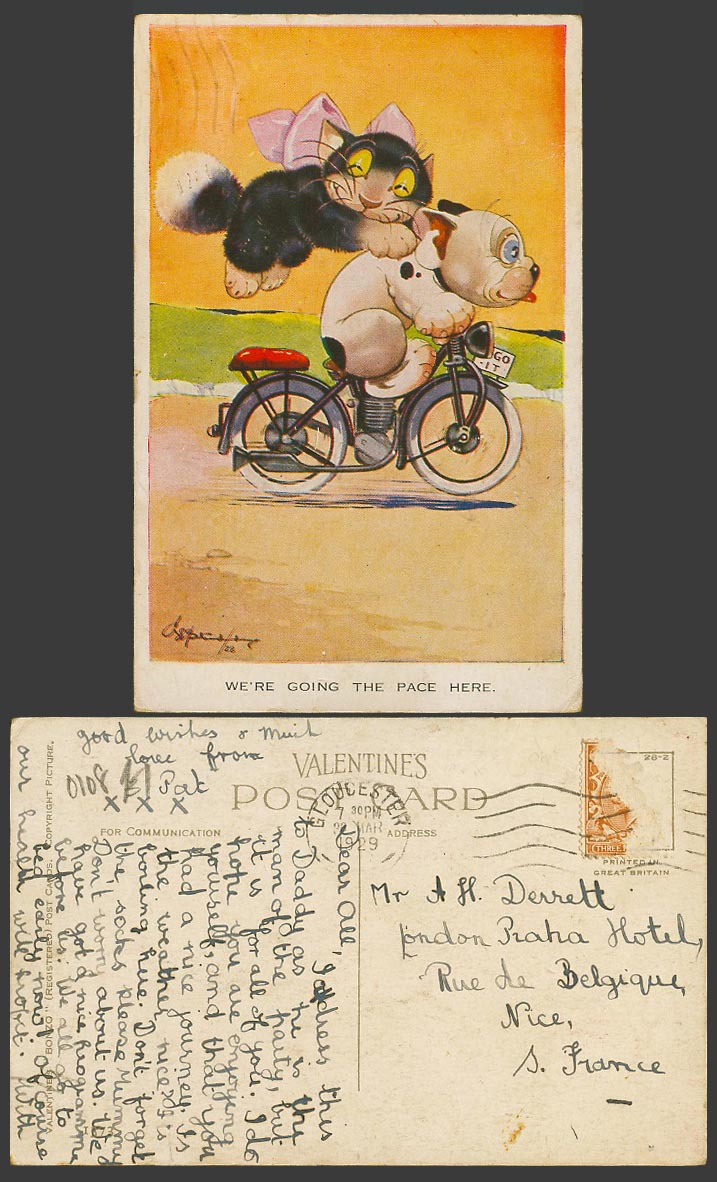 BONZO DOG GE Studdy 1929 Old Postcard We Going The Pace Here Cat Motorcycle 1373