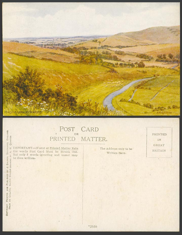 AR Quinton Old Postcard Hindover Hill Seaford Panorama Sheep Hills Sussex N.2059