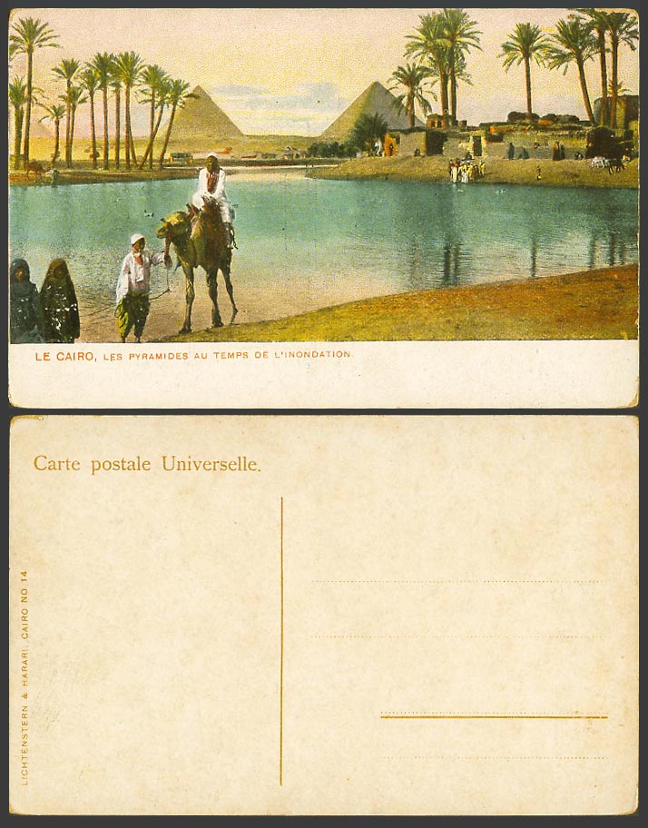 Egypt Old Postcard Cairo Pyramides l'Inondation Pyramid Flooded Nile River Camel