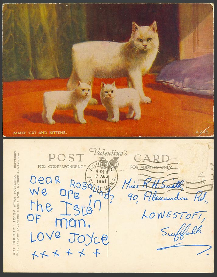 Isle of Man 1961 Old Colour Postcard MANX CAT and KITTENS White Cats Kitten Pets