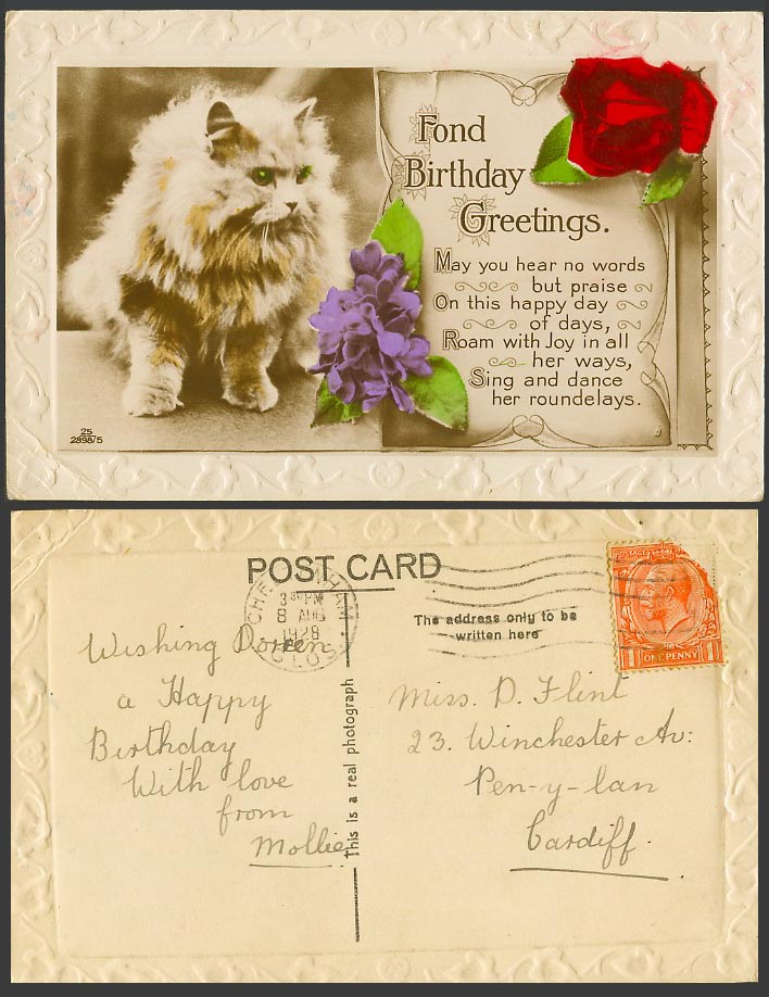 Cat Kitten Green Eyes Fond Birthday Greetings Flowers 1928 Old Embossed Postcard