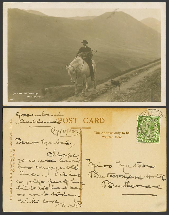 A Lakeland Shepherd, Horse Rider & Dog 1915 Old Real Photo Postcard Abrahams 495