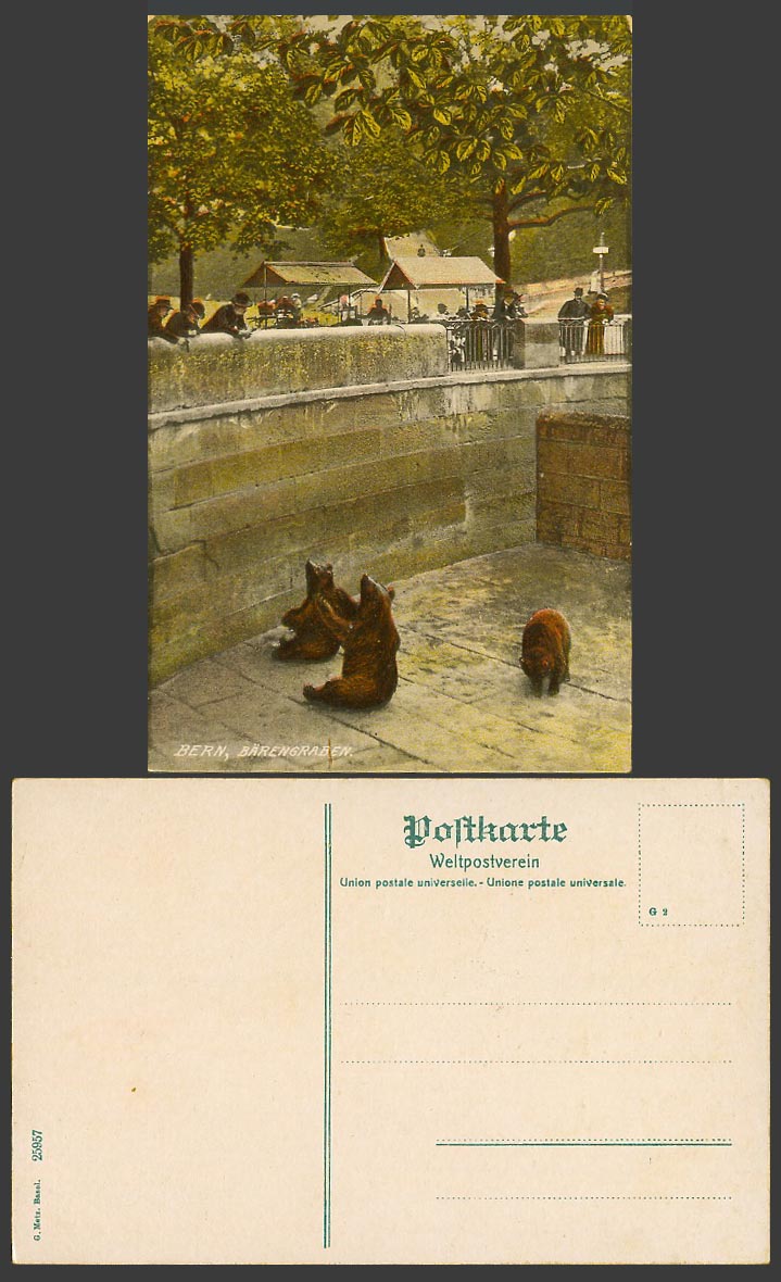 Swiss BERNE Bern Old Colour Postcard BEAR PIT Baerengraben, Bears Fosse aux Ours