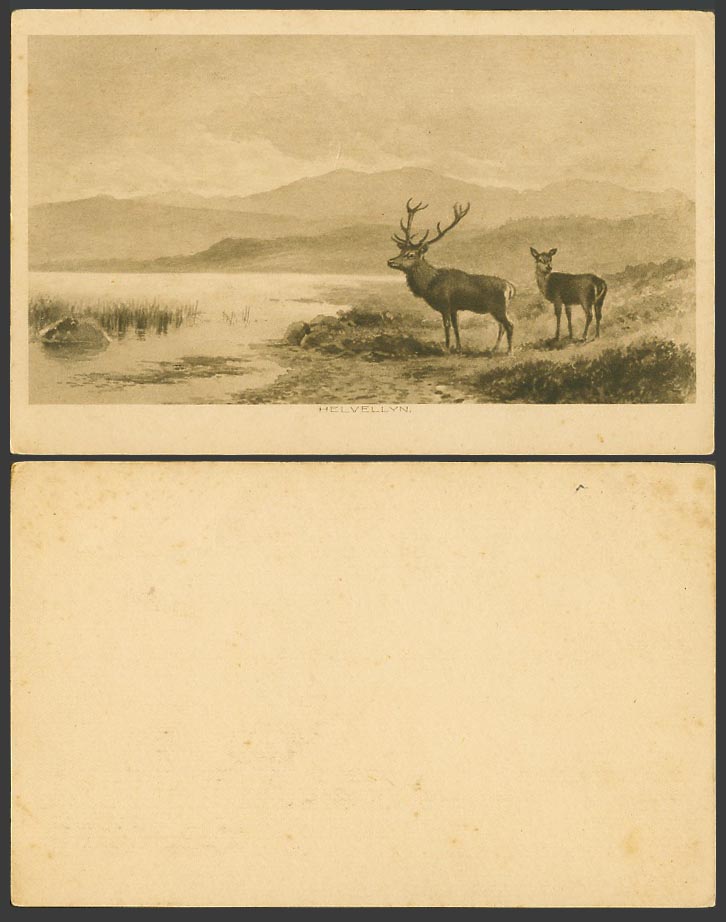 Helvellyn Lake District, Deer Stag, Hills Panorama Art Artist Drawn Old Postcard