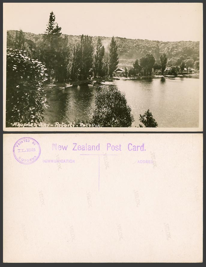 New Zealand Old Real Photo Postcard Hauparu Bay, Rotoiti Lake, Rotorua, Panorama