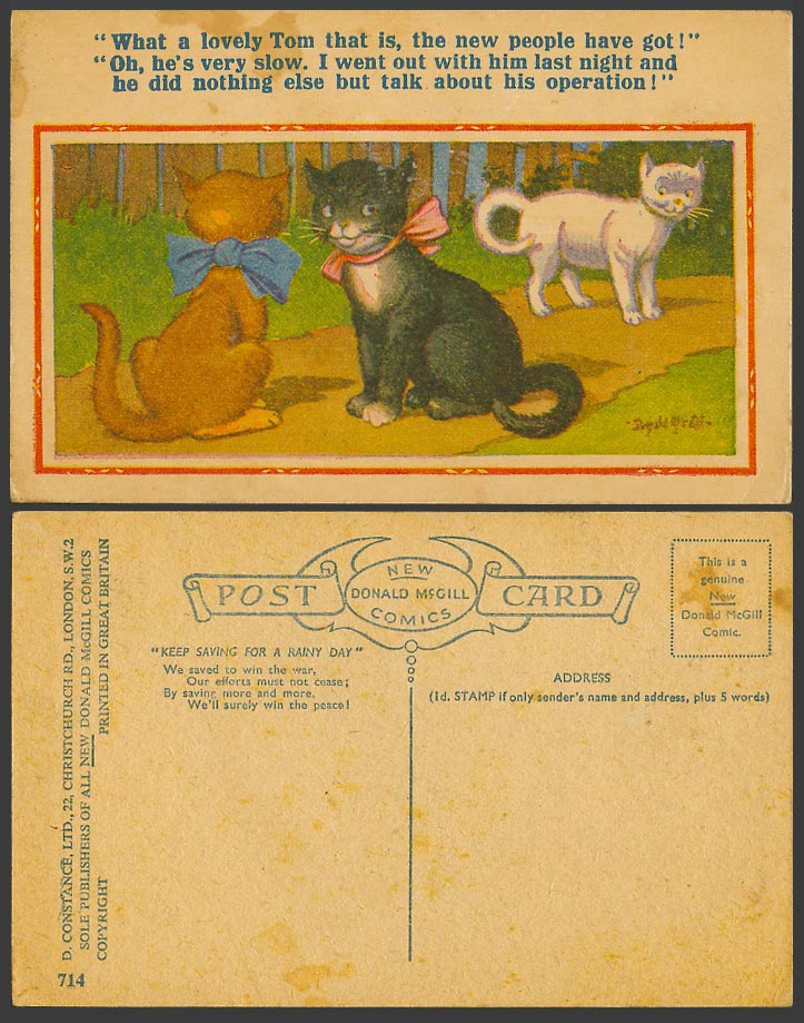 Donald McGill Old Postcard Cats Kittens, Lovely Tom Cat Talk About Operation 714