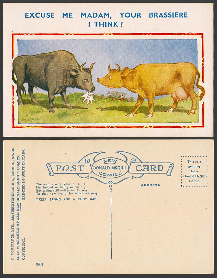Donald McGill Old Postcard Excuse me Madam Ur Brassiere I Think? Cattle Bull 953