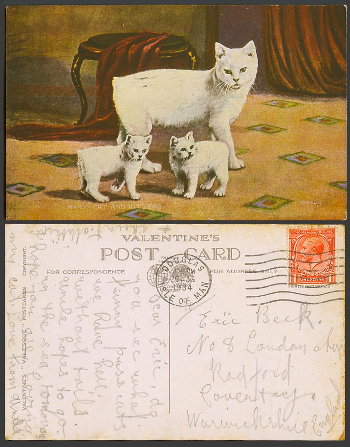 Isle of Man 1934 Old Colour Postcard Manx Cat & Kittens Cats Valentines Valesque