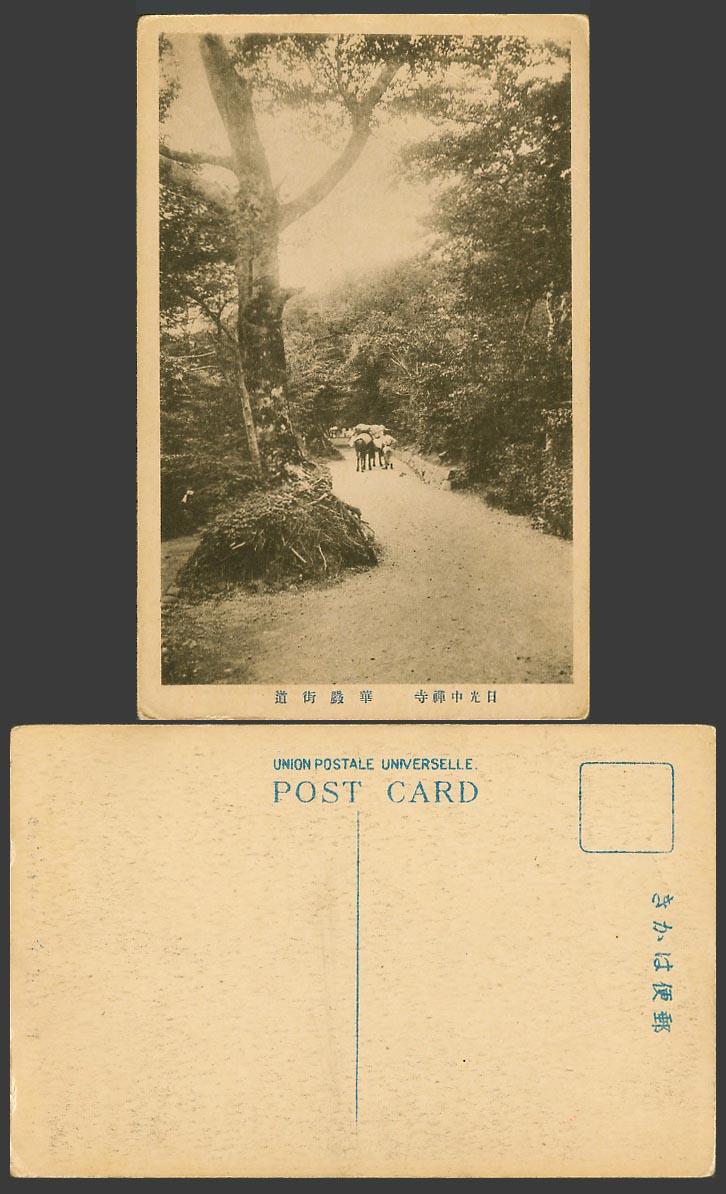 Japan Old Postcard Chuzenji Nikko, Huayan Street Scene, Trees Animals 日光中禪寺 華嚴街道