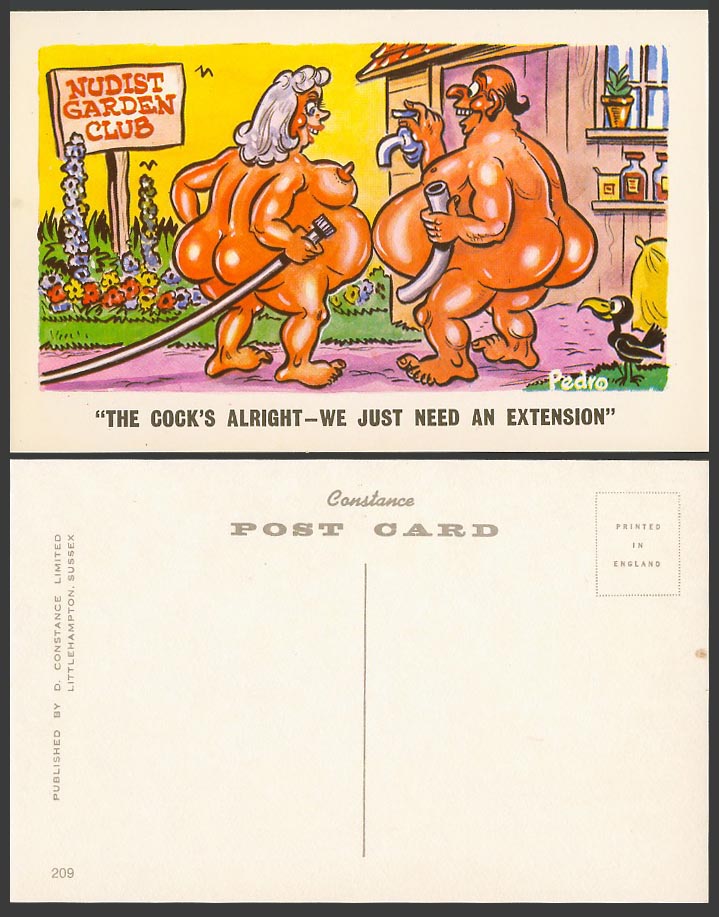 Pedro Saucy Old Postcard Nudist Garden Club Cook's alright need a extension Bird