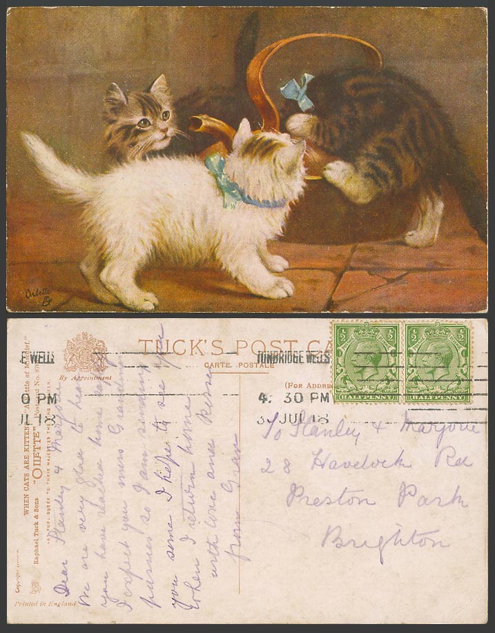 When Cats Are Kittens, A Kettle of Mischief 1918 Old Tuck's Postcard Cat Kitten