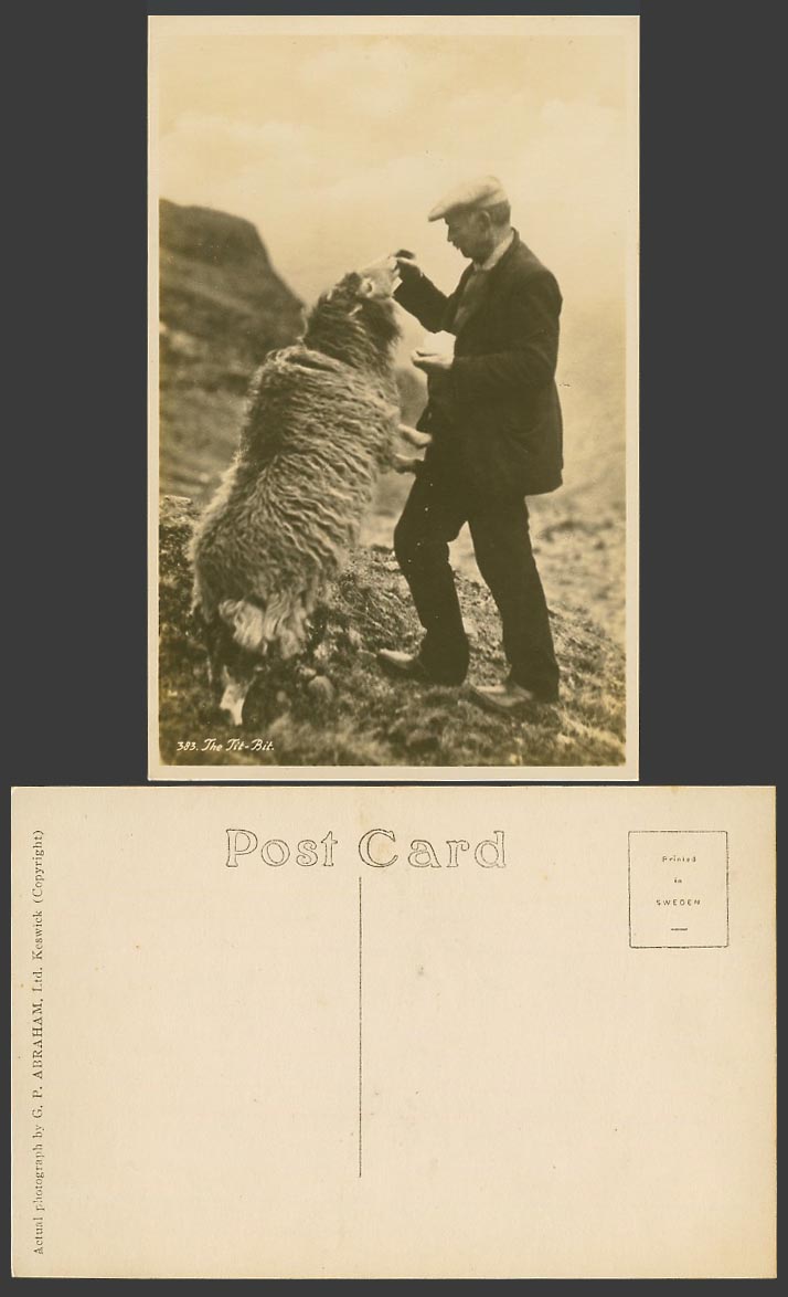 Keswick Tit-Bit Shepherds Pet SHEEP Lake District Animal Old Real Photo Postcard