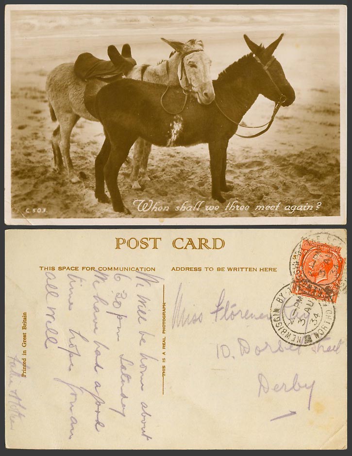 2 Donkeys, When Shall We Three Meet Again? 1934 Old Postcard Beach, Donkey Ride